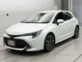 2021 Toyota Corolla Sports