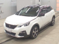 2019 Peugeot 3008