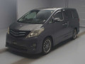 2010 Toyota Alphard