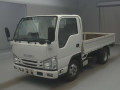 2017 Isuzu Elf Truck