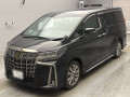 2022 Toyota Alphard