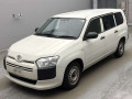 2021 Toyota Probox