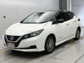 2020 Nissan Leaf