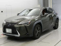 2020 Lexus UX