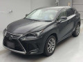 2019 Lexus NX