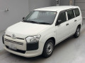 2020 Toyota Probox