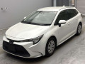2019 Toyota Corolla Touring Wagon