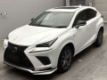 2019 Lexus NX