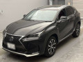 2015 Lexus NX
