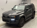 2024 Toyota null