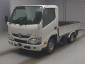 2020 Toyota Dyna Truck