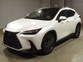 2023 Lexus NX