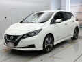 2021 Nissan Leaf