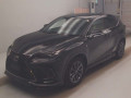 2021 Lexus NX