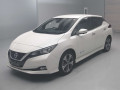 2019 Nissan Leaf