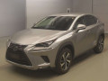 2019 Lexus NX