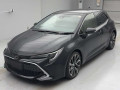 2021 Toyota Corolla Sports