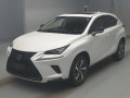 2019 Lexus NX