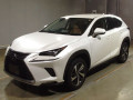 2021 Lexus NX