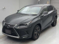 2019 Lexus NX