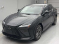 2023 Lexus RZ