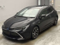 2020 Toyota Corolla Sports