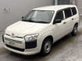 2020 Toyota Probox