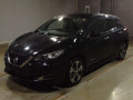 2017 Nissan Leaf