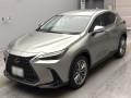 2024 Lexus NX