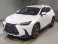 2021 Lexus NX