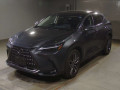 2022 Lexus NX