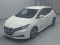 2021 Nissan Leaf