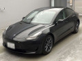 2022 Others MODEL 3