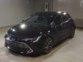 2021 Toyota Corolla Sports
