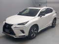 2021 Lexus NX