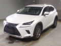 2019 Lexus NX