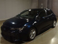 2021 Toyota Corolla Sports