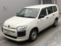 2020 Toyota Probox