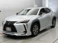 2021 Lexus UX