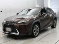 2021 Lexus UX