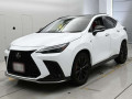 2023 Lexus NX