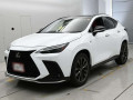 2022 Lexus NX