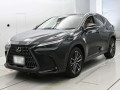 2023 Lexus NX