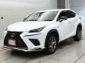 2019 Lexus NX