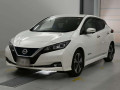 2019 Nissan Leaf