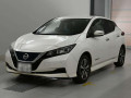 2019 Nissan Leaf
