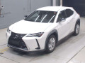 2019 Lexus UX