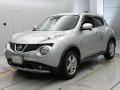 2011 Nissan JUKE