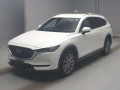 2019 Mazda CX-8