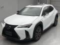 2021 Lexus UX